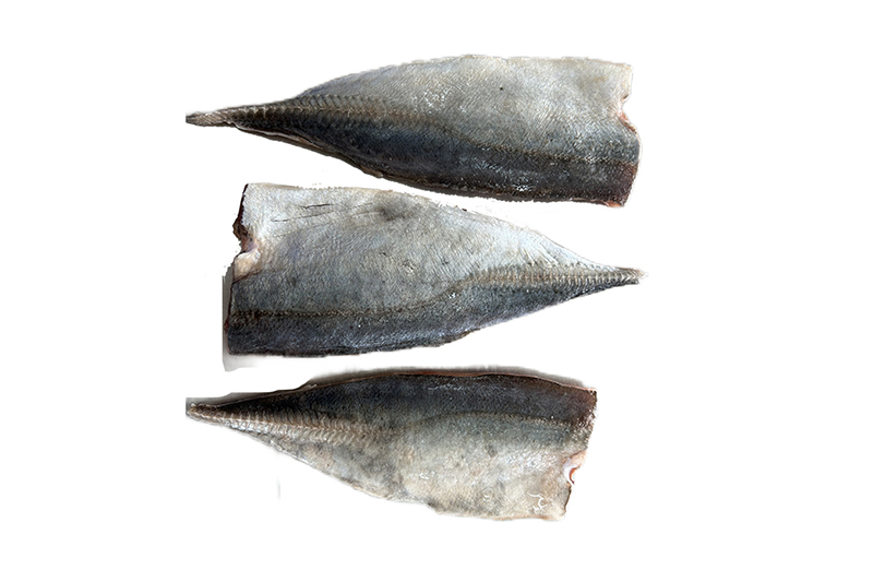 fillet of horse mackerel headless (1)1