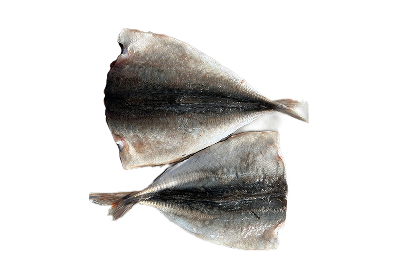 fillet of horse mackerel headless (2)11